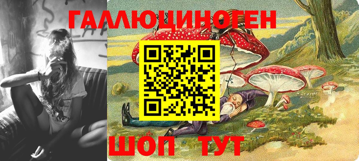 Галлюциногенные грибы Cubensis Канск